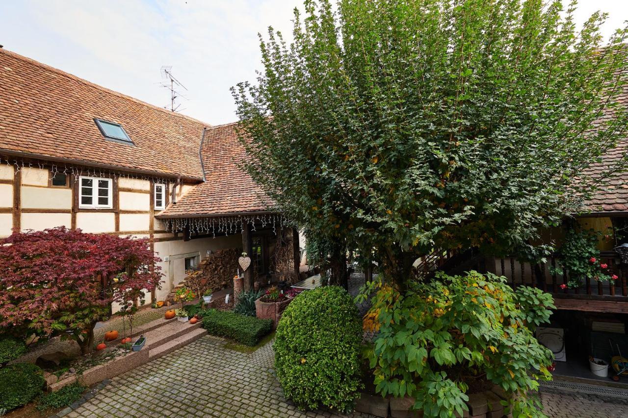 La Cour De Lise Maison D'Hotes Et Spa Willgottheim 外观 照片