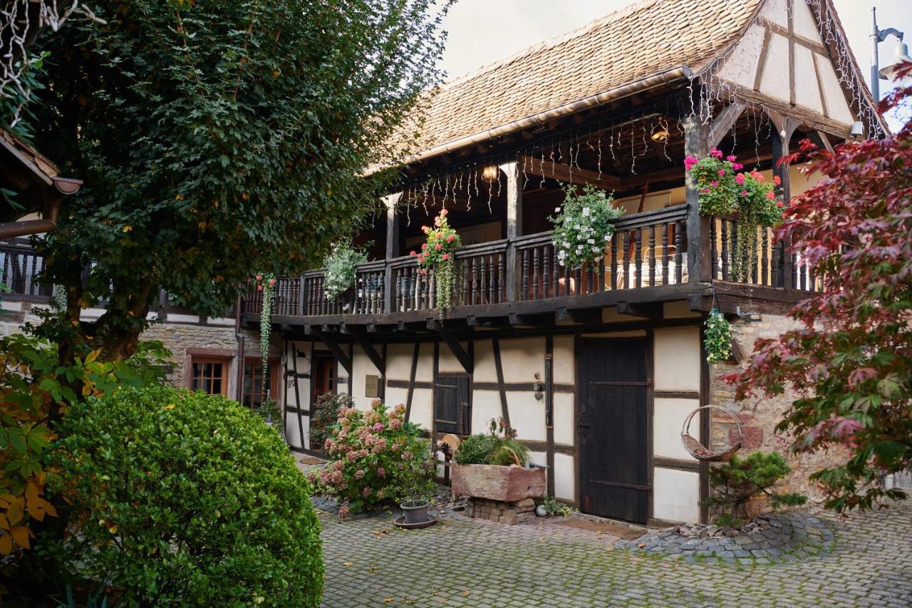 La Cour De Lise Maison D'Hotes Et Spa Willgottheim 外观 照片