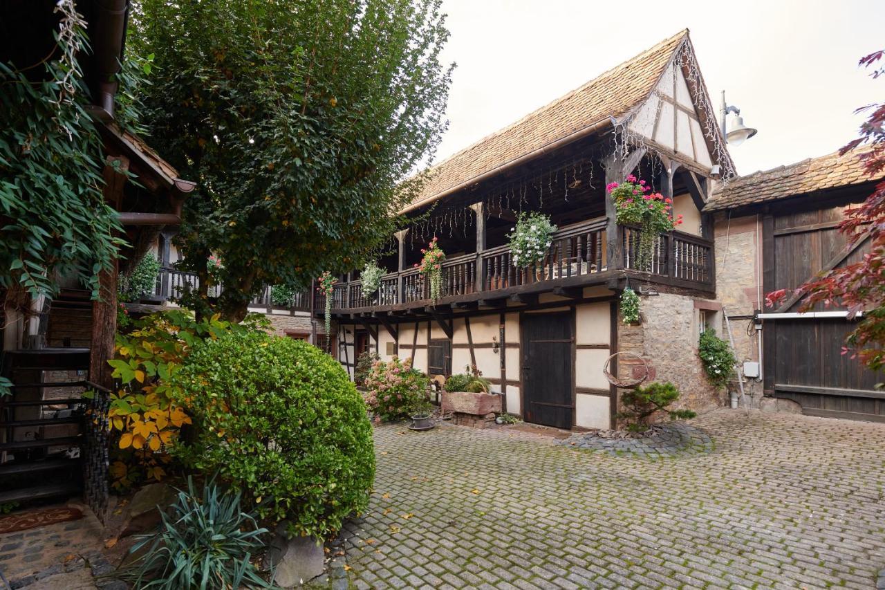 La Cour De Lise Maison D'Hotes Et Spa Willgottheim 外观 照片